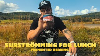 Fermented herring  Swedish Surströmming [upl. by Nabila]