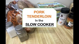 PORK TENDERLOIN Slow Cooker Recipe  BEST Tasty CrockPot Dinner [upl. by Ertha90]