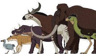 CENOZOIC BEASTS  Animated Size Comparison [upl. by Ahsyia]