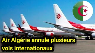 🇩🇿Annulations Massives de Vols Air Algérie  Ce Que Vous Devez Savoir [upl. by Allicsirp]