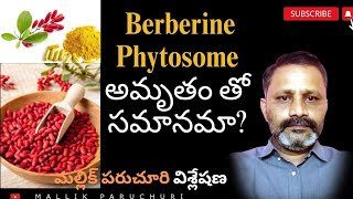 Berberine phytosome ఏయే సమస్యలకు పనిచేస్తుంది నిజంగా అంత అద్భుతమయిన మందు నా [upl. by Strickler]