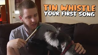 New to the Irish Tin Whistle  Check out This Perfect Song for Beginners [upl. by Yggep389]