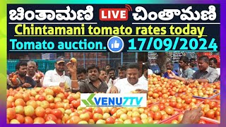 Chintamani today 17092024 today tomato rates in Chintamani Venu7tv today Chintamani 🍅🍅 [upl. by Eilram]