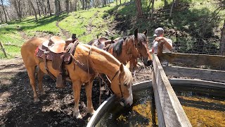 Day in the Life of an American Rancher [upl. by Humbert294]