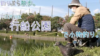 【小物釣り】小春日和な江戸川区の行船公園で小物釣り。【淡水】 [upl. by Lyrak]