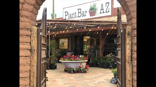 Tour of Plant Bar AZ [upl. by Leiad894]