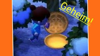 3 Geheime Dinge in Animal Crossing New Leaf😱 [upl. by Helmer]