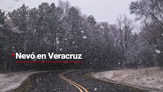 Veracruz bajo la nieve  Así se encuentra en estos momentos el Parque Nacional Cofre de Perote [upl. by Phene]