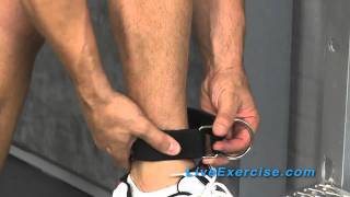 Bodylastics System Tip How to use your Ankle Strap [upl. by Hcib]