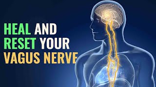 Vagus Nerve Stimulation Music  Vagus Nerve Reset To Release Trauma Stored In The Body  VagusNerve [upl. by Torr]