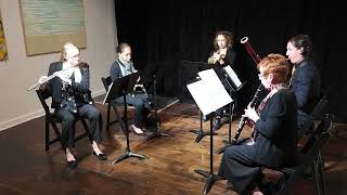 HD REUPLOAD Woodwind Quintet No 2 quotFour Windsquot 2017 by Elaine Fine [upl. by Pren50]