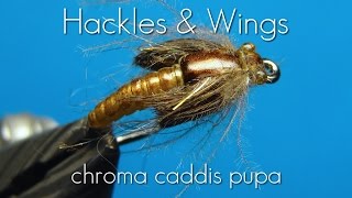 Fly Tying Chroma Caddis Pupa  Hackles amp Wings [upl. by Janean]