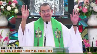 𝗪𝗛𝗢 𝗶𝘀 𝗖𝗛𝗥𝗜𝗦𝗧 𝘁𝗼 𝗬𝗢𝗨  Homily 15 Sept 2024 with Fr Jerry Orbos  24th Sunday in Ordinary Time [upl. by Psyche]