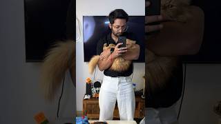 Cat ke lie Special Gift  SUBSCRIBE shorts viral viralshorts cute cat pets funny comedy [upl. by Retsev]