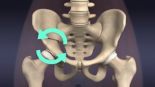 The Hip Dysplasia Solution Periacetabular Osteotomy PAO [upl. by Ellocin]