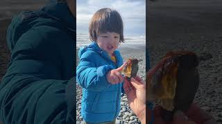 3Oct2024 Нашли медузу Пахнет селедкой 😅 Ruby Beach Olympic NP WA [upl. by Alvarez]