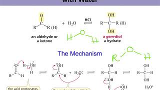 Organic Chemistry II Chapter 16 part 5  enamine formation acetal formation [upl. by Irac562]