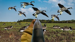 26 BANDED HONKERS ON OPENING DAY INSANE GOOSE HUNT [upl. by Nena94]