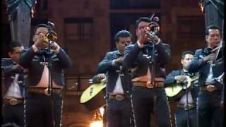 Mariachi Nuevo Tecalitlan Popurri Pasos dobles [upl. by Seena357]