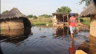 High Tide Flooding in Kerewan Badala URR The GambiaPart 1 [upl. by Drarig]