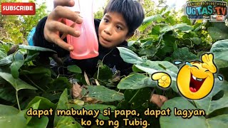 Tumawa Muna kayo sa mga ilonggo FunnyComedy videos😂 Tagalog Subtitle👍 [upl. by Ahsinna]