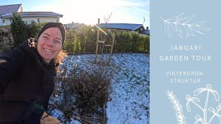 JANUARI GARDEN TOUR  Växter som tillför struktur i vinterträdgården [upl. by Ruhtra]