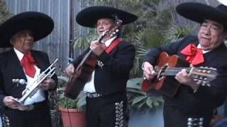 Las Mananitas by Mariachi Malibuwmv [upl. by Orella]