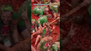 Tomato fight La Tomatina festival turns streets of Spain red [upl. by Baniez406]