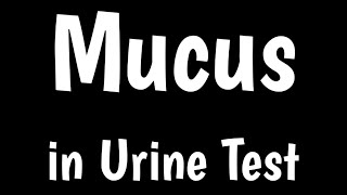 Mucus in Urine Test  Causes amp Symptoms Of Mucus In Urine  Microscopic Urine Analysis [upl. by Abott]