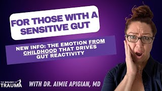 The Attachment IBS Connection With Stress and Trauma And The Solutions For A HyperSensitive Gut [upl. by Anirbes949]