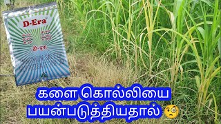 களை கொல்லியை பயன்படுத்தலாமா  DEra  Topper 71Ammonium salt of glyphosate 71  Herbicide [upl. by Nowujalo731]