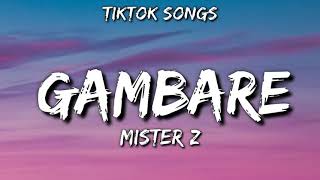 Gambare  Mister z TikTok Songs audio [upl. by Lertnahs]