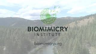 The Biomimicry Institute – Fulfilling Our Mission [upl. by Dang357]