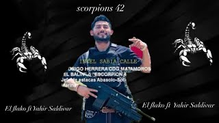 Escorpión 45 el Flako ft Yahir saldivar [upl. by Leduar]