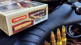 Norma Whitetail 308  100 Yard Group Test  Ruger American 308 [upl. by Heffron]