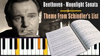 Beethoven Moonlight Sonata amp Theme From Schindlers List [upl. by Ocinom]