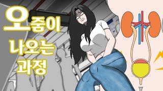 소변이 나오는 과정 애니메이션 [upl. by Bryan]