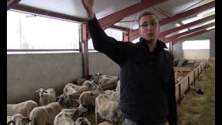 En production ovine Gagner le pari de lavenir [upl. by Nautna]