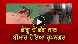 Dengue ਦੇ ਡੰਗ ਨਾਲ ਬੀਮਾਰ ਹੋਇਆ Rupnagar [upl. by Arezzini362]