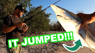 Sharks JUMPING Camping DEEP in the Florida Everglades [upl. by Yenahteb]