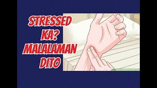 Stressed Ka Malalaman Dito  Payo ni Doc Willie Ong 748 [upl. by Anerev]