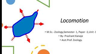 Locomotion In Protozoa । प्रोटोजोआ मे प्रचलन ।। By  Prashant Kanoje [upl. by Yenahpets]