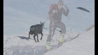 Kampleck Ski Tour 2523m  Reißeck ⛰range  Carinthia [upl. by Yellat]