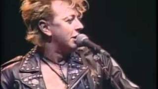 Stray Cats  BeBopALula  Live [upl. by Enneles]