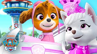 Skye amp PAW Patrol Make an Emergency Rescue at the Lookout Tower  Shimmer and Shine [upl. by Nance]