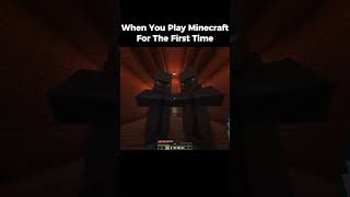 When You Play Minecraft For The First Time minecraft minecraftjokeshindi funny [upl. by Yeca]