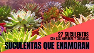 27 SUCULENTAS IDENTIFICADAS con sus nombres científicos y cuidados I SuculentasQueEnamoran [upl. by Okuy]