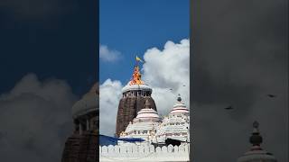 One day visit to Puri dham odia odiasong jagannath [upl. by Meraree]