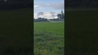 Insecticide spraying DJI T40 drone djidrone agriculture djit40 agriculturedrone sorts [upl. by Erbua]