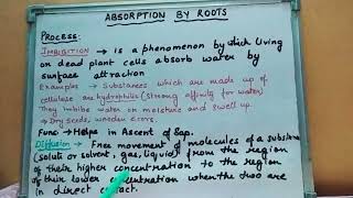 Absorption by Roots Diffusion and Osmosis NEETBoard Exam [upl. by Egrog]